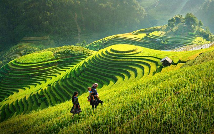 6 lĩnh vực nổi bật có sự góp mặt của quay chụp timelapse