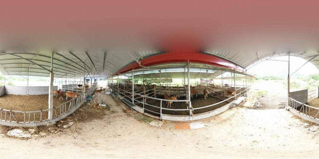 Auto Timelapse hợp tác với Trung tâm bảo tồn Gen và phát triển giống bò Mông