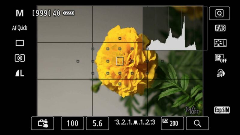 chup-timelapse